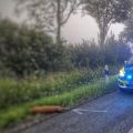 angefahrenes Rehwild und polizeiauto