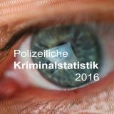 Police crime statistics 2016