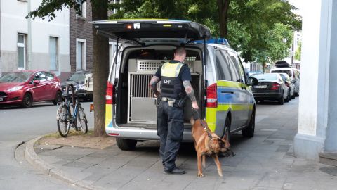 Auf der Suche nach Geld: Banknotenspürhund Gringo