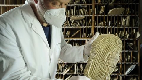 Münster Police Headquarters has the largest police collection of shoe prints in NRW.